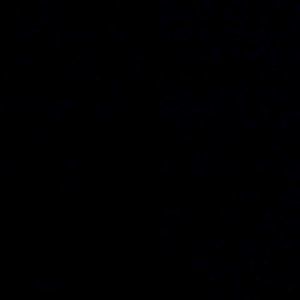 Meet your Posher, Joy